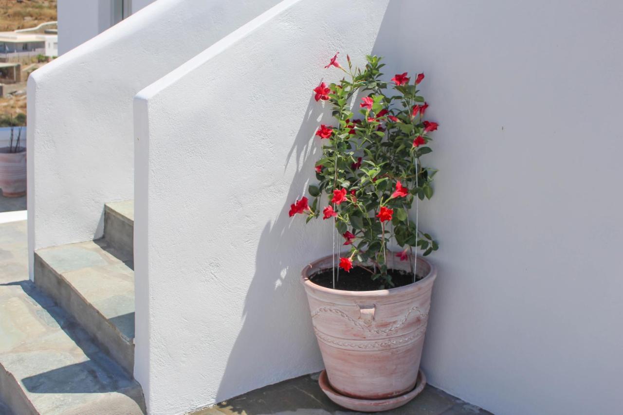 Crystal View Mykonos Aparthotel Mykonos Town ภายนอก รูปภาพ